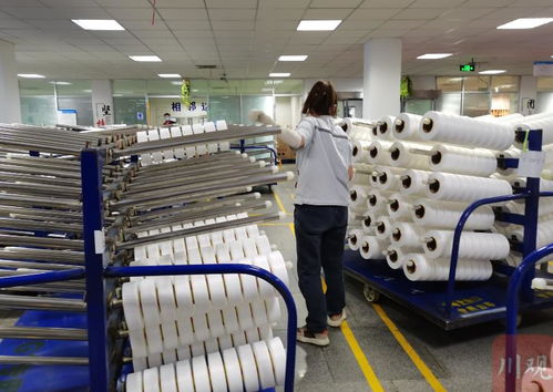 走進區域看發展丨川渝向 新 而行 新材料產業跑出 加速度