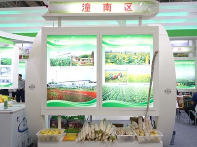 活動聚焦 重慶——山城的魅力與活力